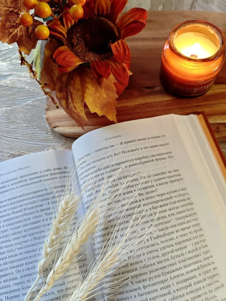 🍁НЕСПЕШНЫЕ БУДНИ✨ - уютный канал о хороших книгах 📚, простых радостях и творческом пути.