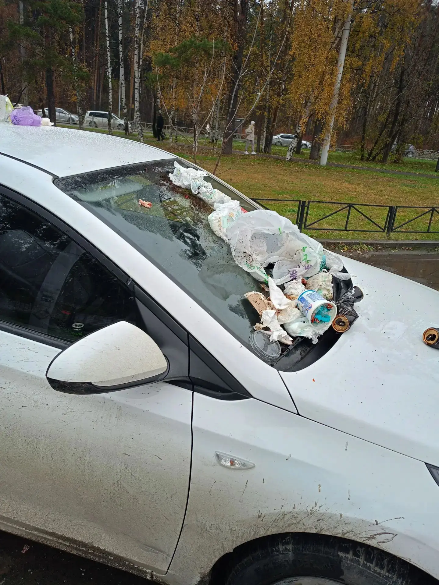 Кто-то с утра очень дерзко припарковался в Екатеринбурге на Соболева 19