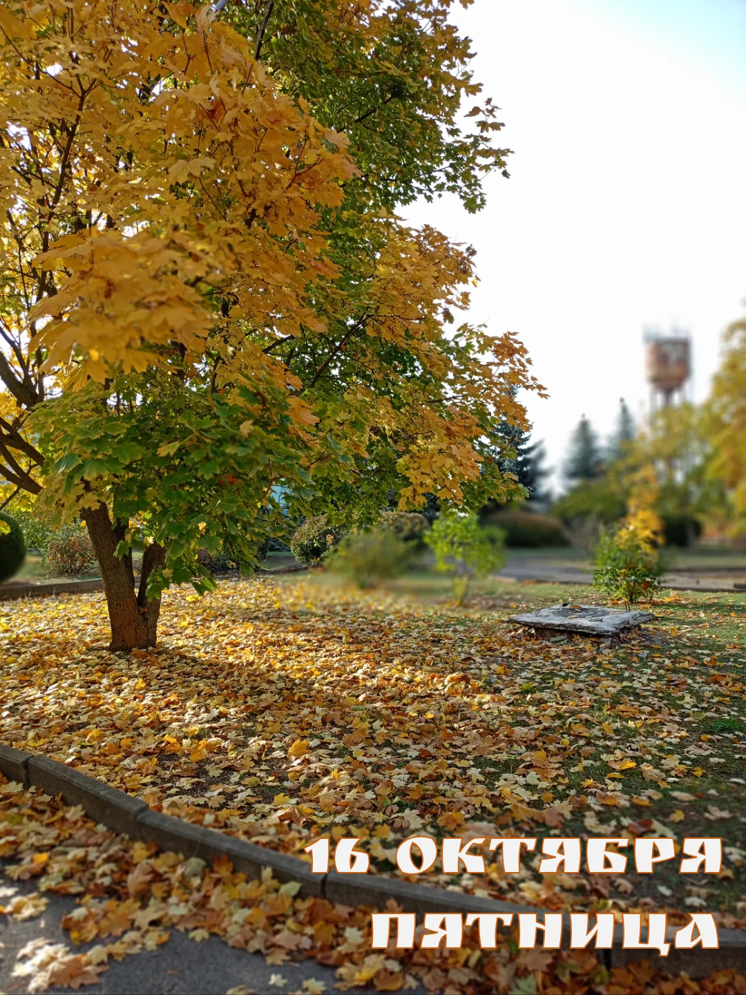 ☀️ Доброе утро!