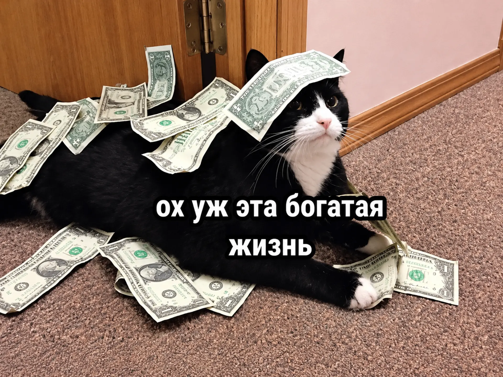 Средняя зарплата в Перми составила 91 200 рублей по итогам первого полугодия 2026