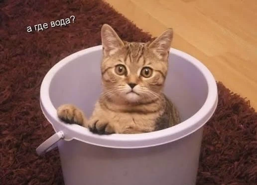 😶Многие жители Энгельса жалуются на то, что до сих пор им не дали воду. Во многих райо...