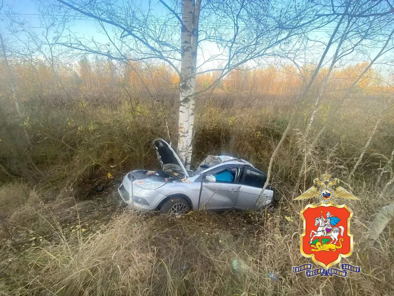 Водитель "Форда" погиб в Раменском округе, съехав в кювет и врезавшись в дерево.