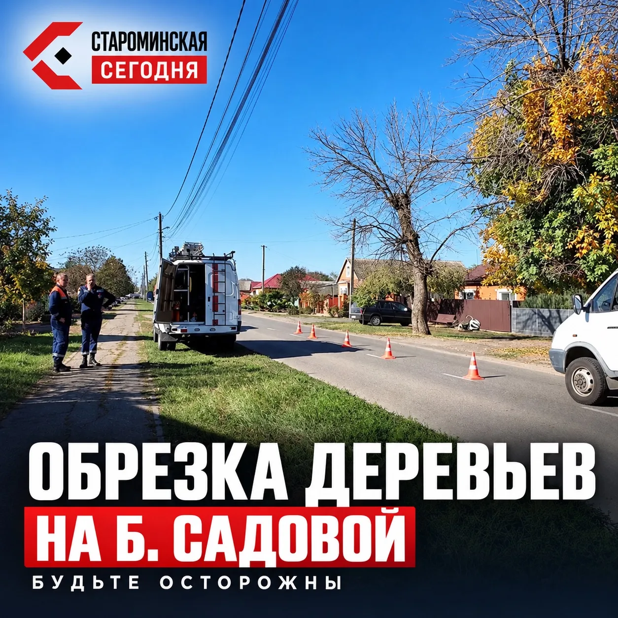 🌳 На Большой Садовой продолжают убирать аварийные деревья
