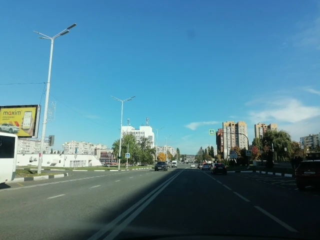 🚨 В Старом Осколе — тревожная статистика по ДТП с пешеходами.