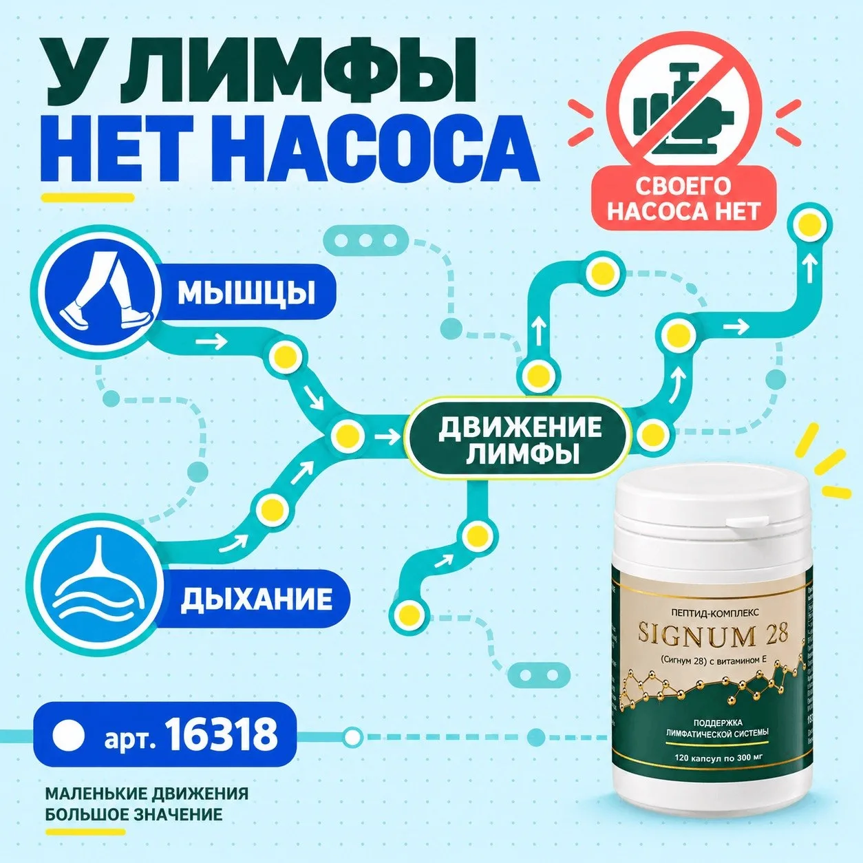 У лимфы нет сердца. Никто не обязан качать её за нас. 💧