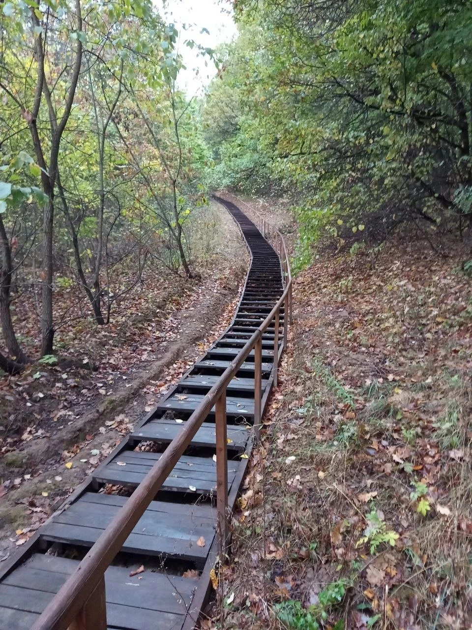 Фото с запахом осеннего монастырского леса 🍂