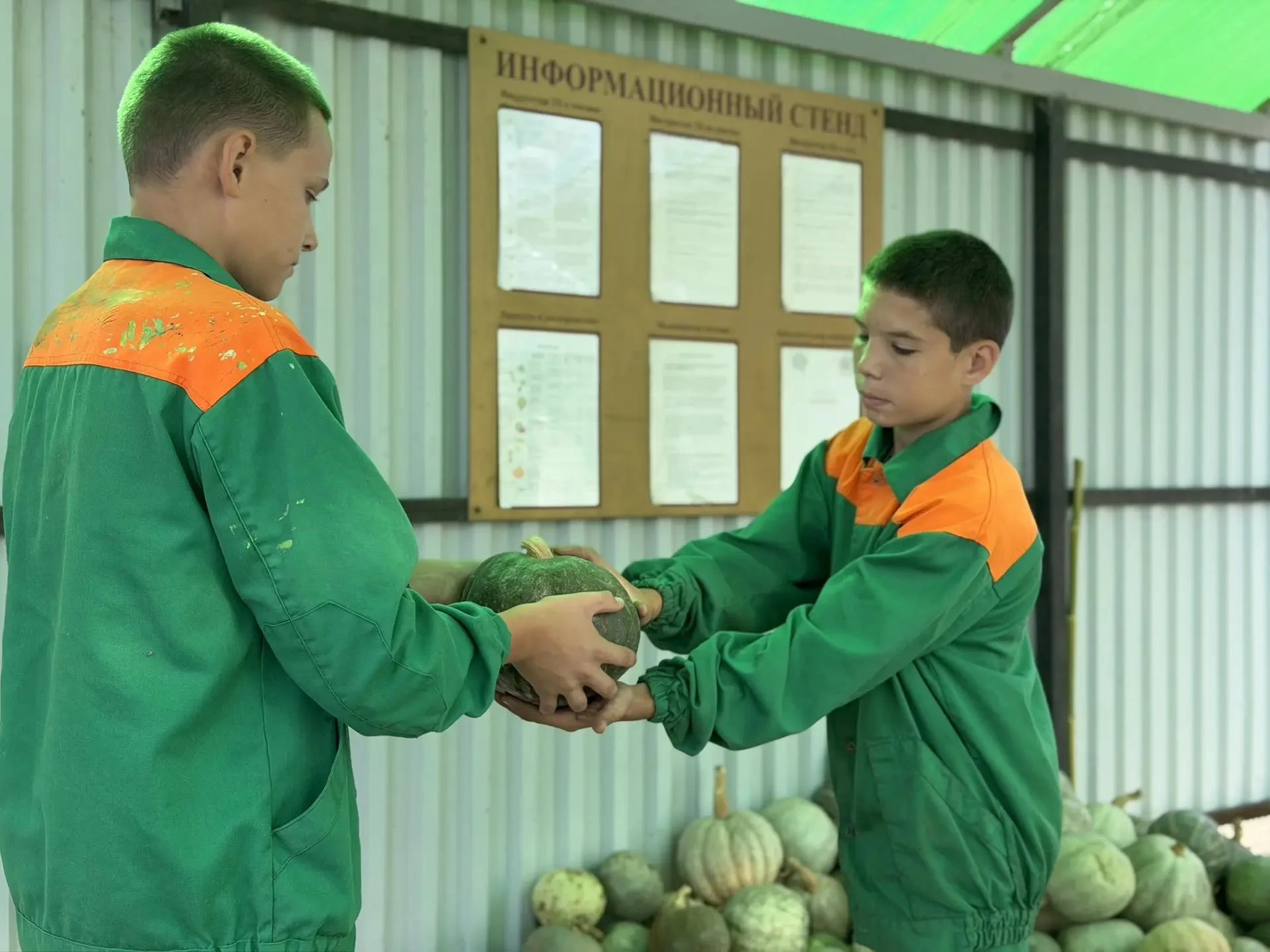 🎃 Тыква: как сохранить урожай