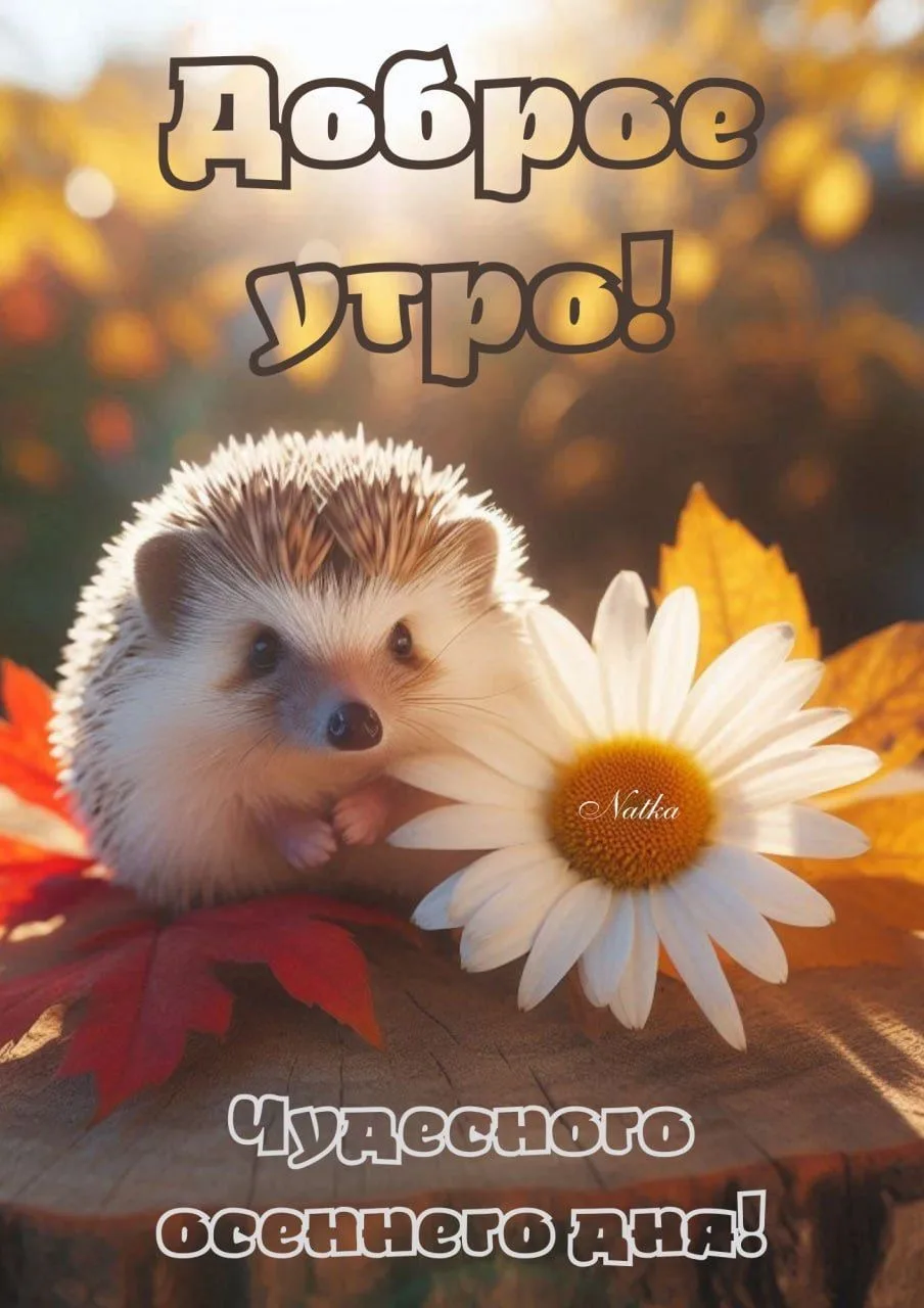 Красивые открытки❤️