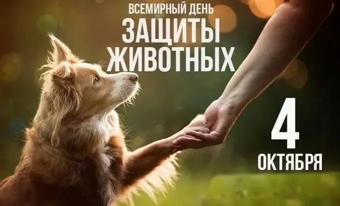 🐾 4 октября — Всемирный день защиты животных.                                 Это не п...
