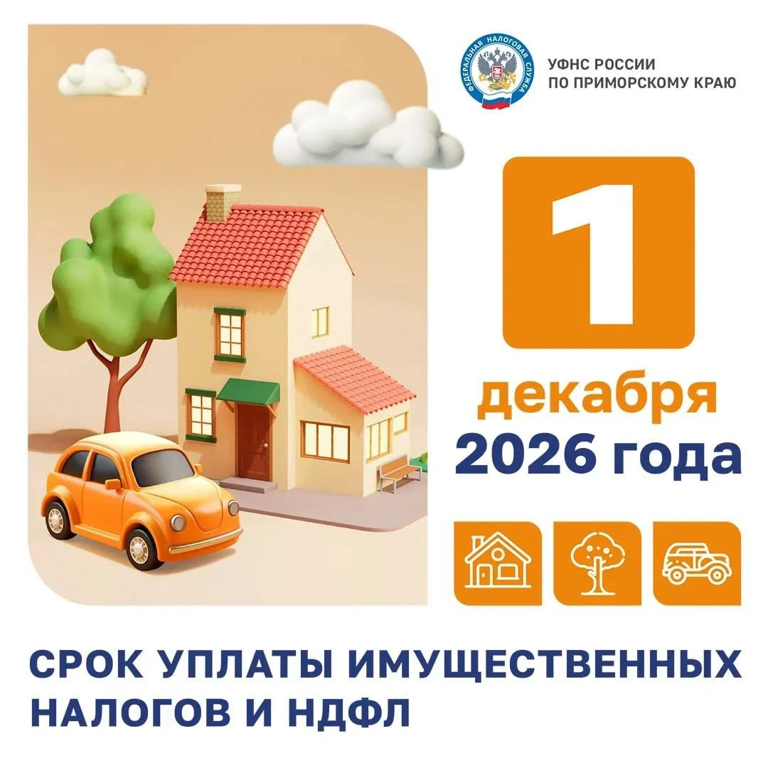 Время платить по счетам: налоги за 2025 год ждут вас до 1 декабря