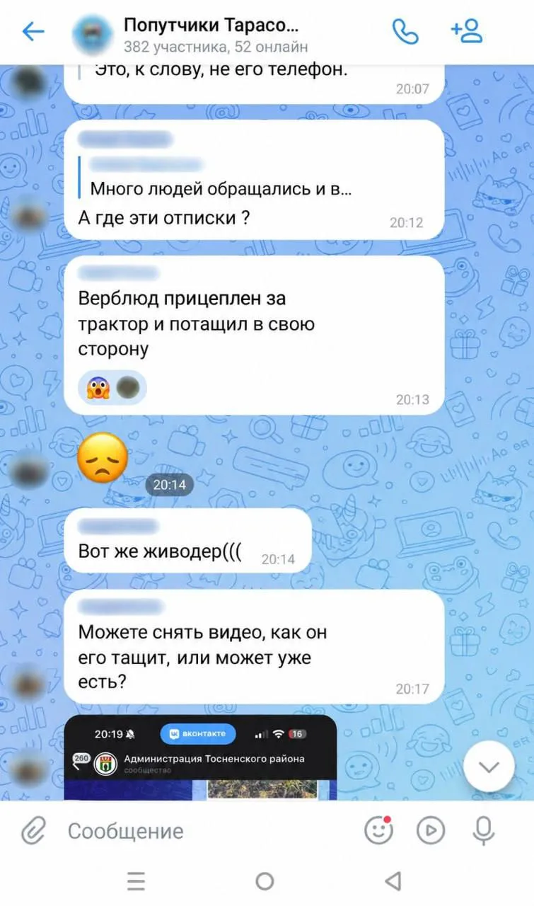 Верблюда в тяжелом состоянии нашли в канаве под Тосно. Хозяин прицепил его к трактору и...