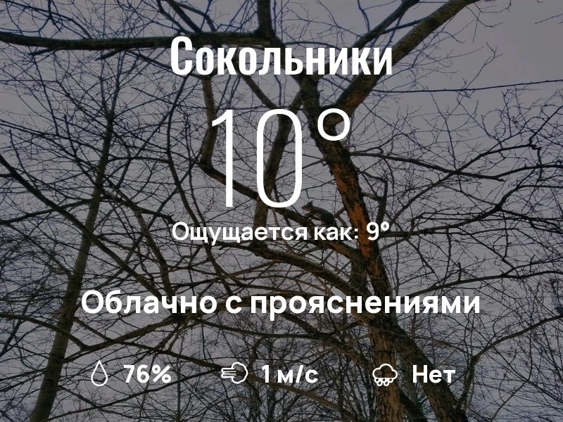 Что с погодой в Сокольниках?