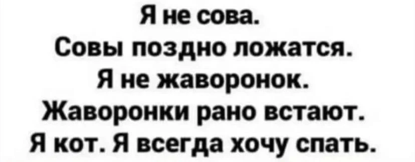 Пчёлка