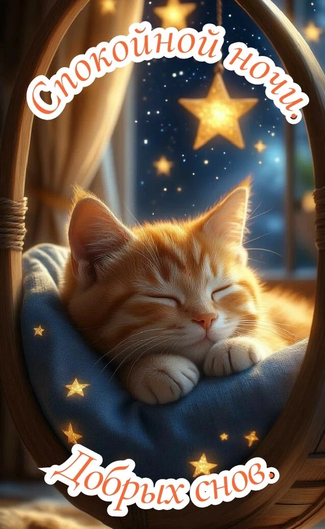 Больше открыток тут👇