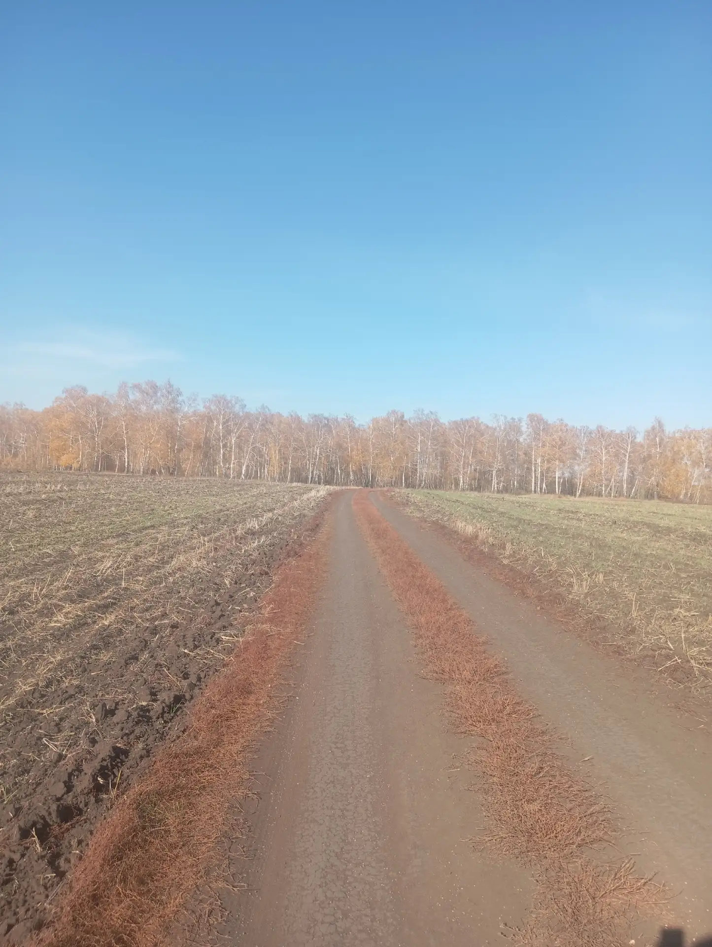 Какая тут красота 😍