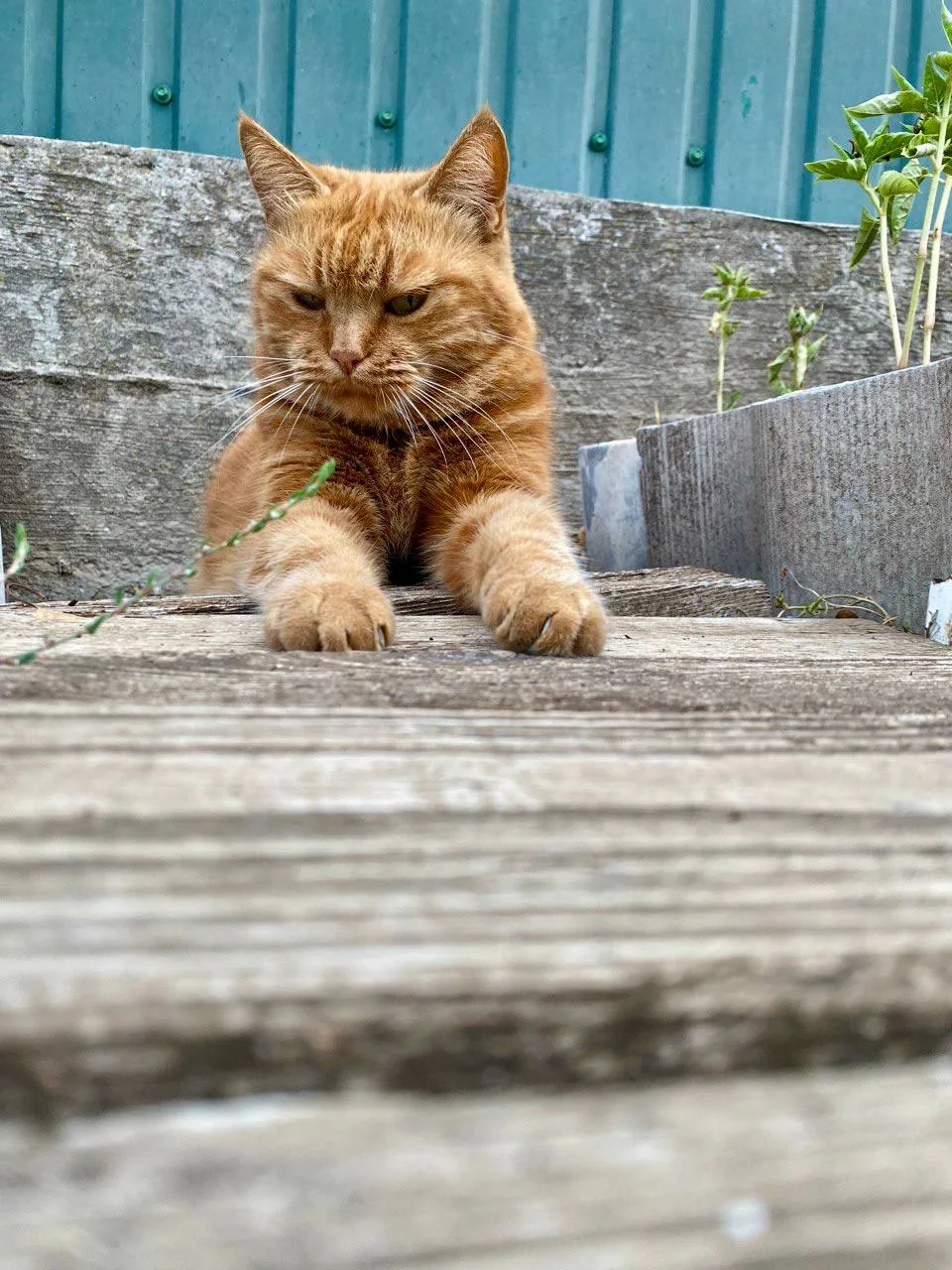 ДОБРОЕ УТРО🌞
