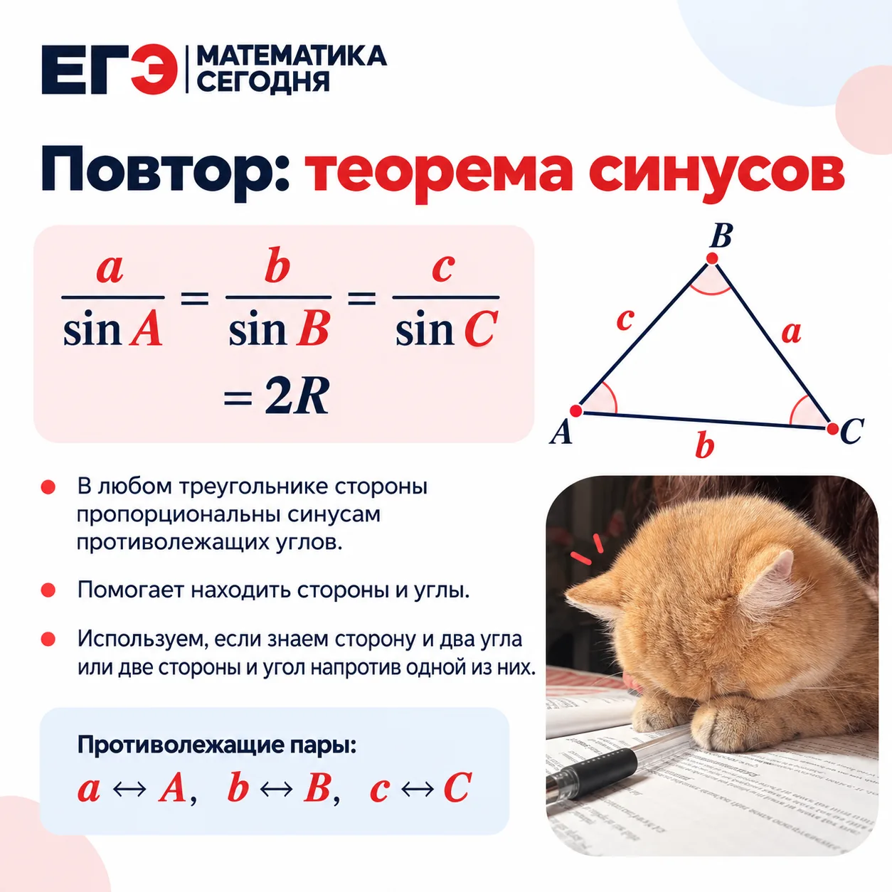 🐱 Повторяем теорему синусов