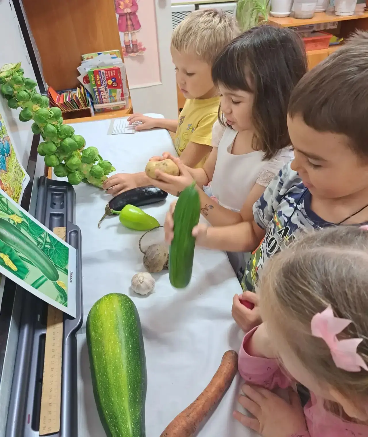 🥕 Наша тематическая неделя «Огород»: настоящая выставка урожая! 🍅