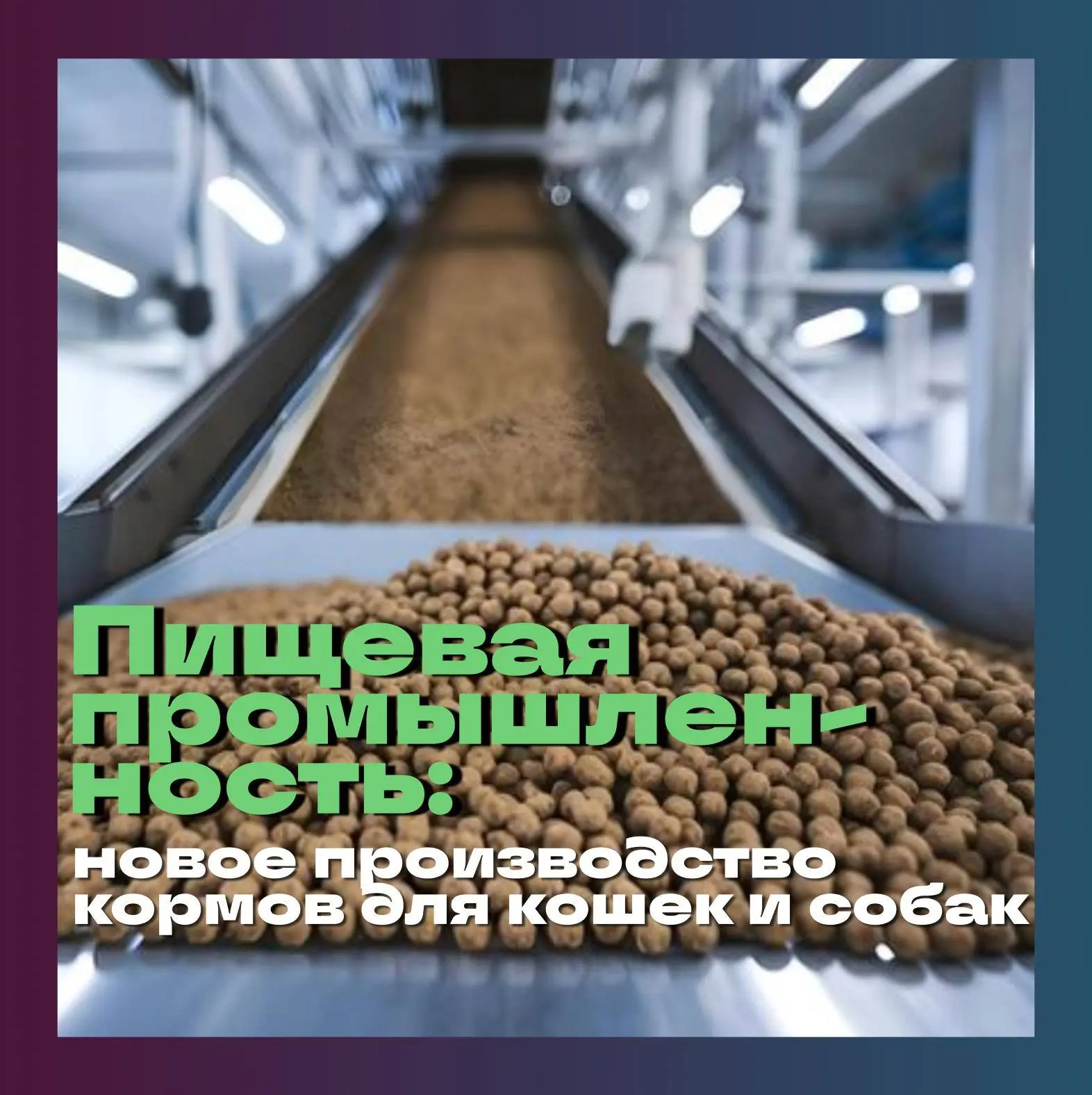🐈 Компания «Петкорм» (Московская область), производитель влажных кормов для домашних п...
