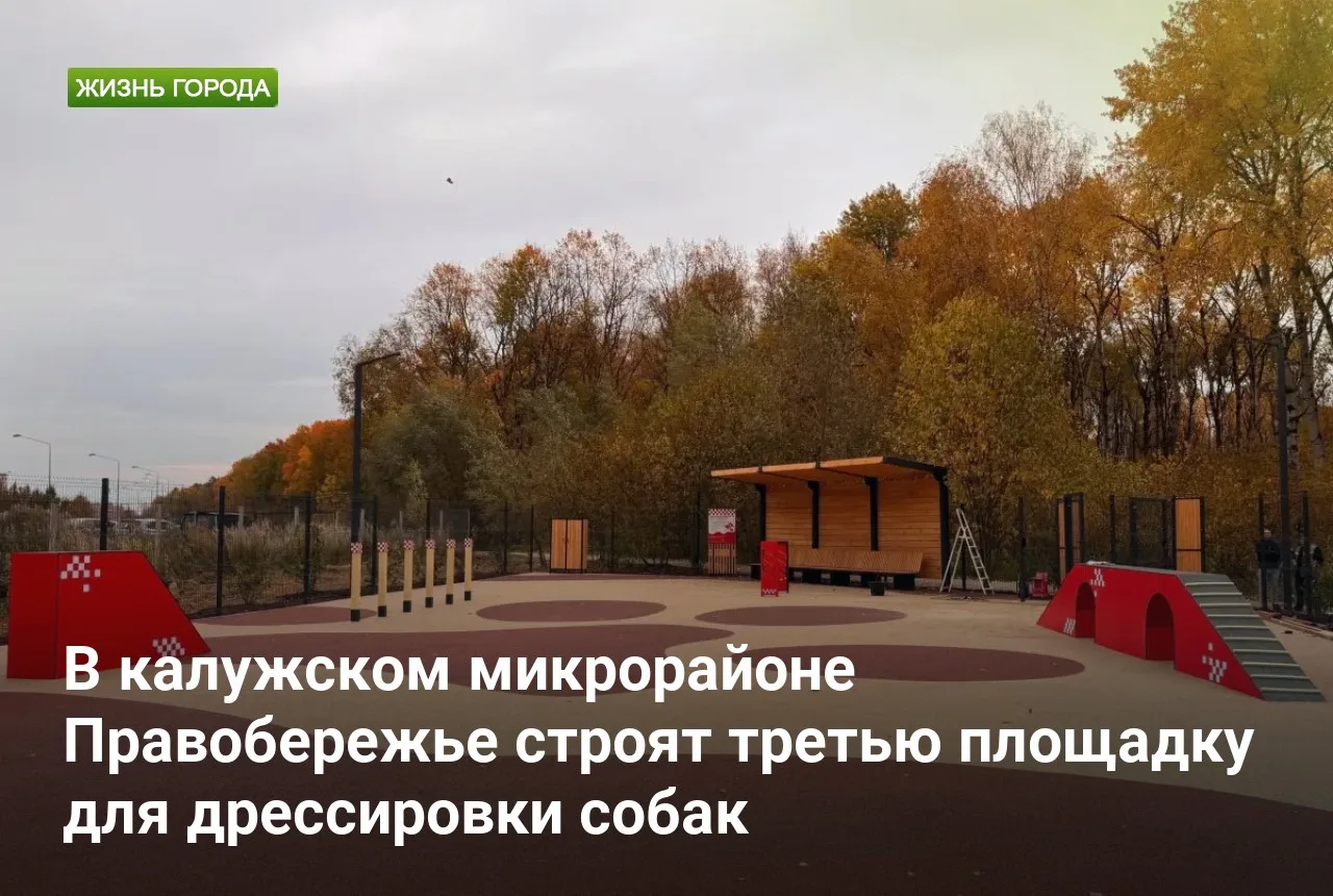 В калужском микрорайоне Правобережье строят третью площадку для дрессировки собак