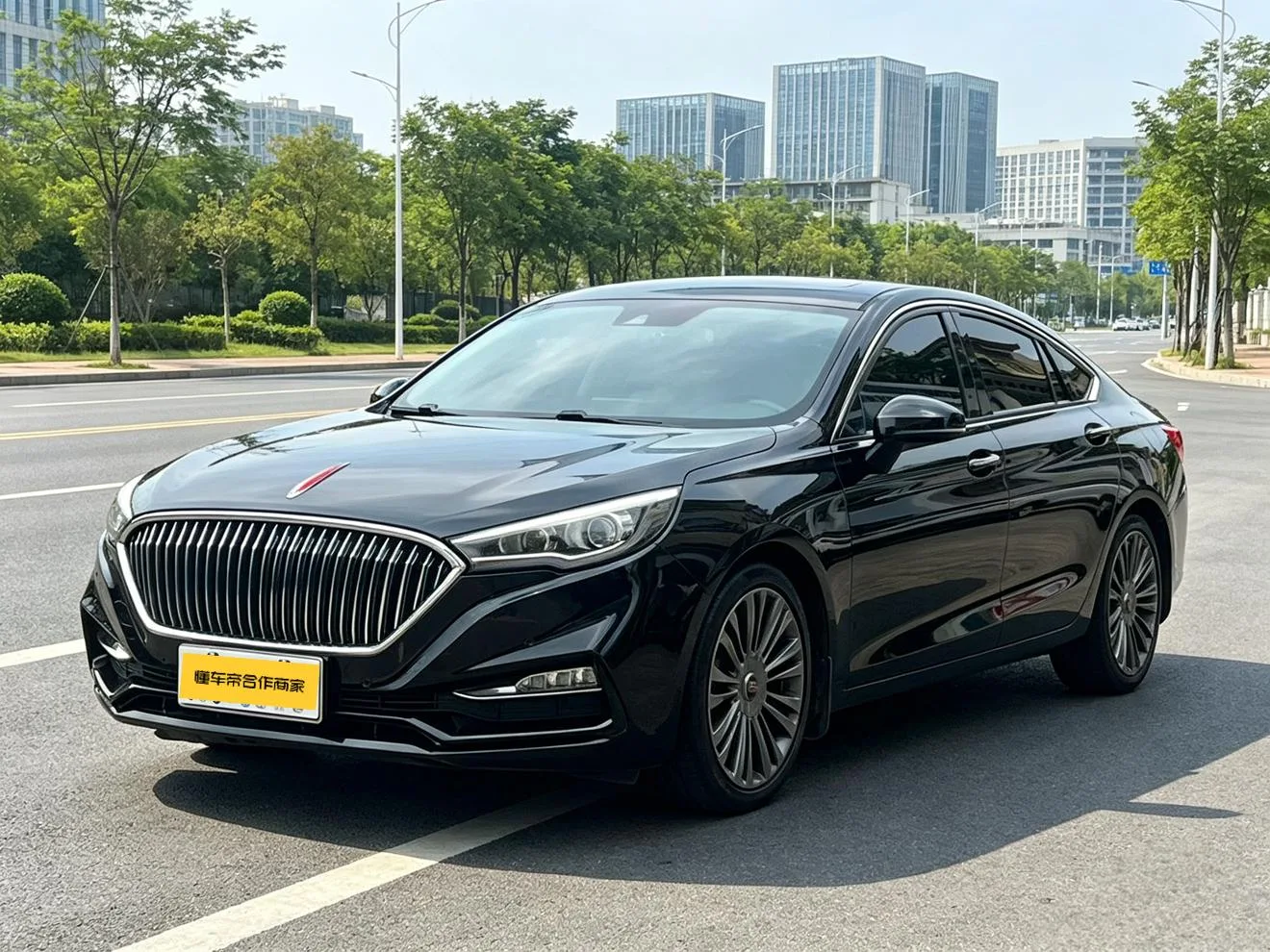 🚗 Hongqi 2019