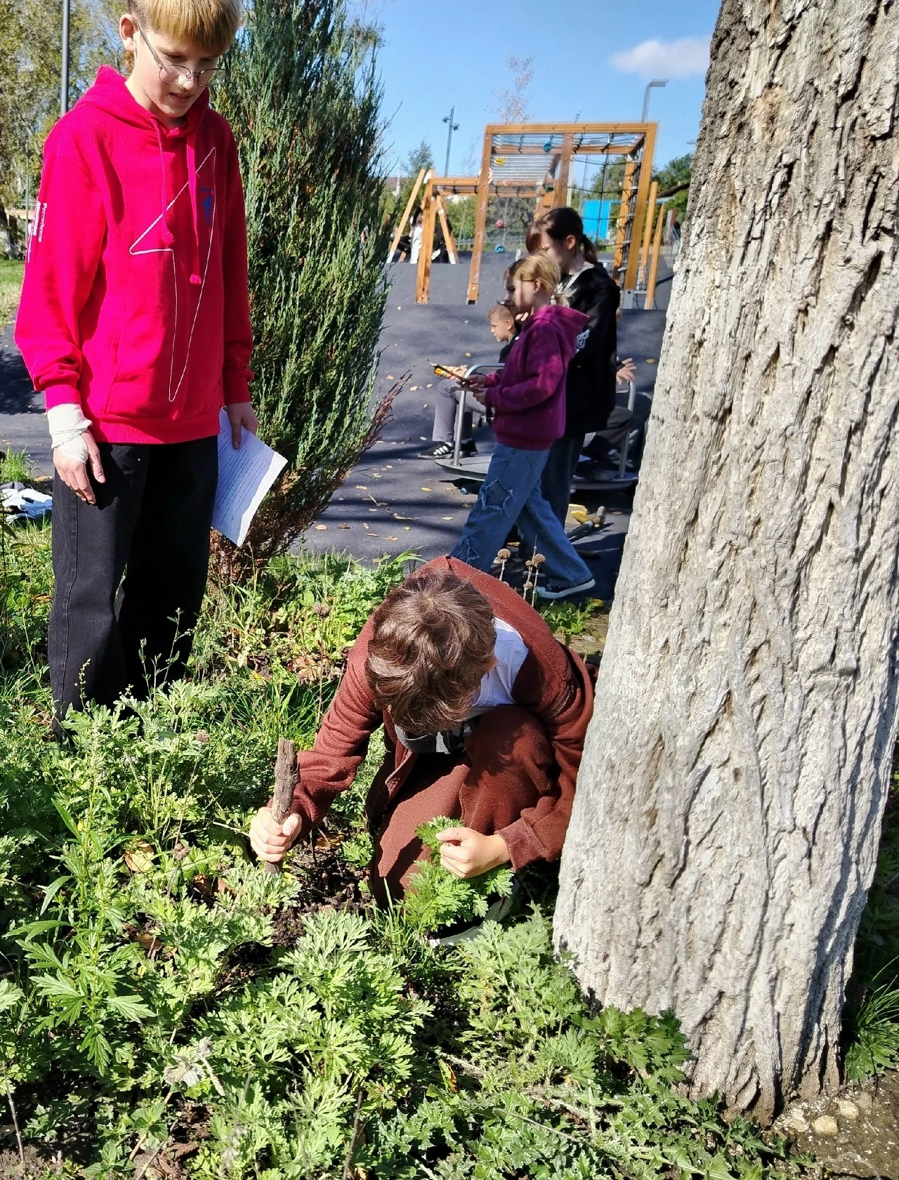 🌿 Как юннаты искали тайную жизнь прямо посреди города