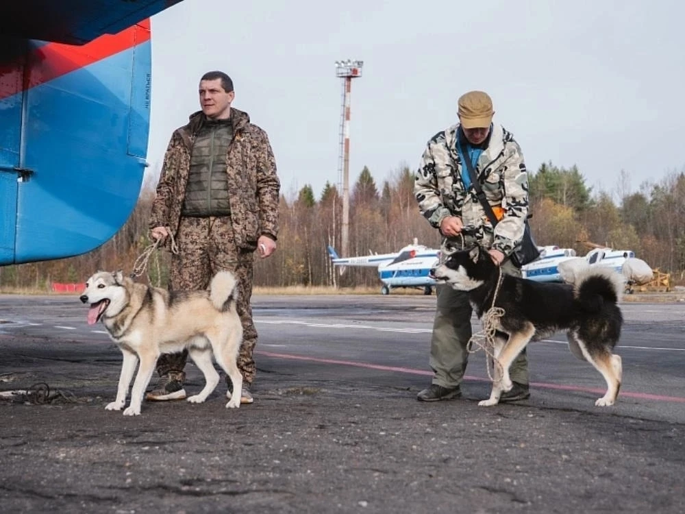 🐻 Охотникам в Золотице доставили припасы — поиск медведей продолжается.