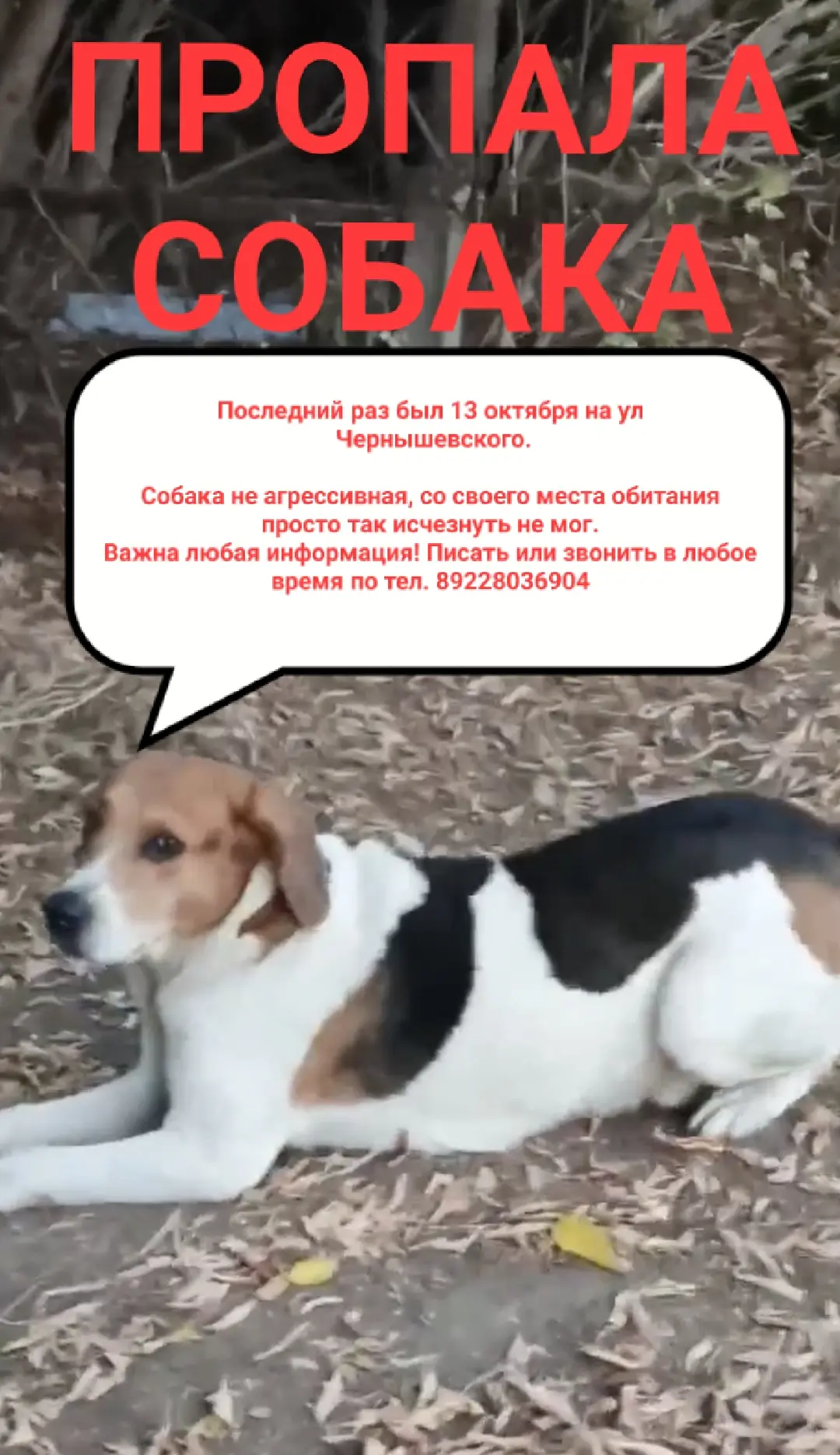 Пожалуйста, опубликуйте 🙏