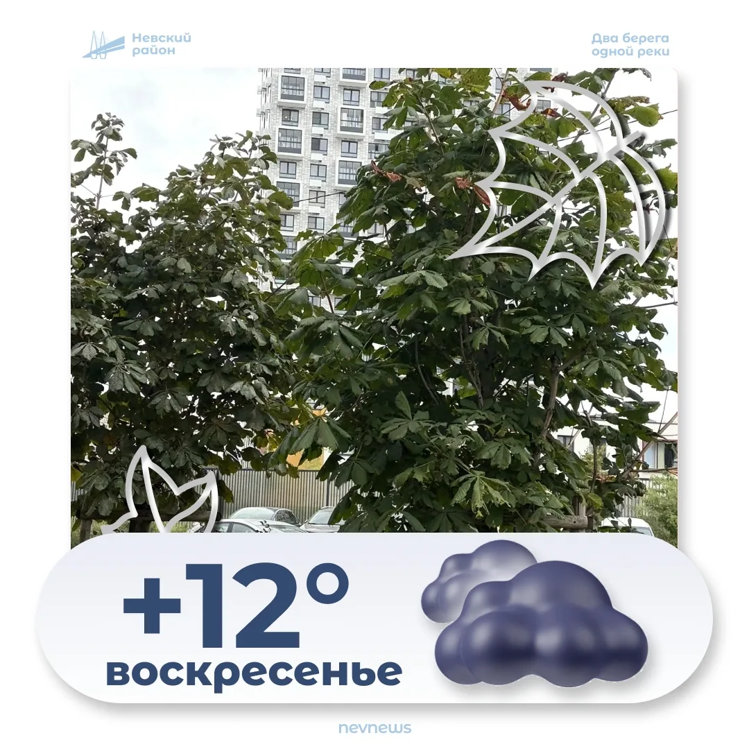 Сегодня, 11 октября, в Невском районе ожидается пасмурная погода. Температура днём окол...
