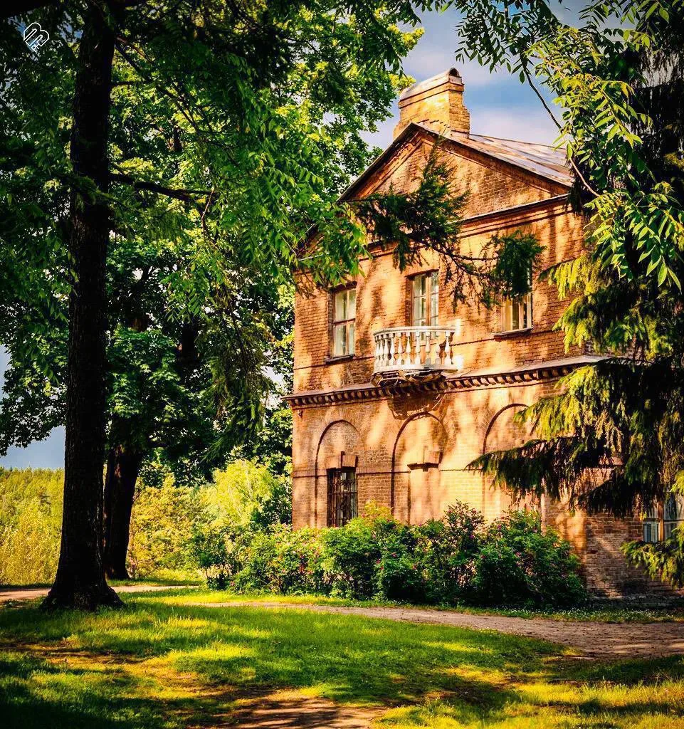 🌳Необычное место для прогулок