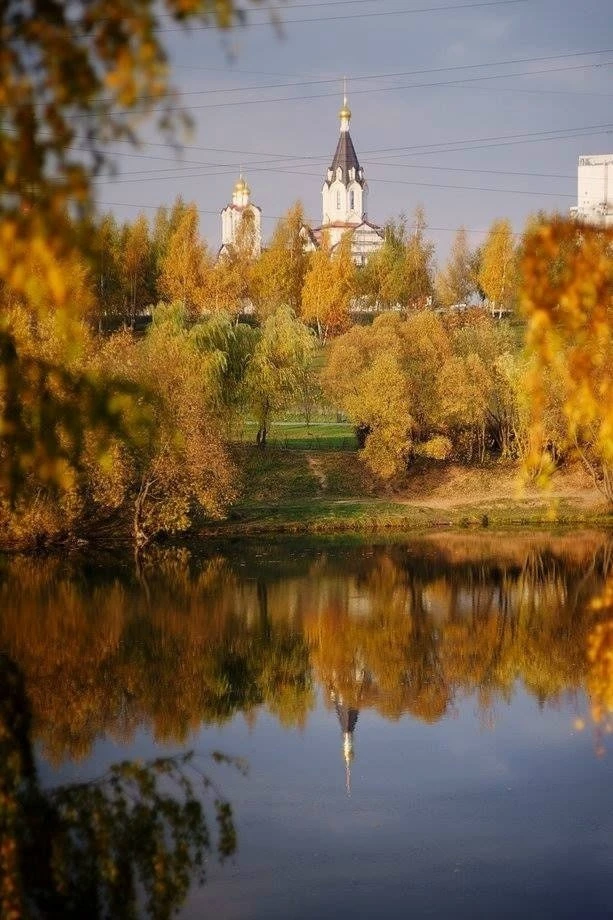 На холмах нашего парка до сих пор можно наткнуться на старые яблони и сливы. Это остатк...