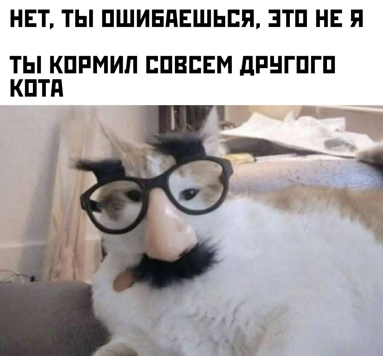 Так, скажите, это у всех так?))