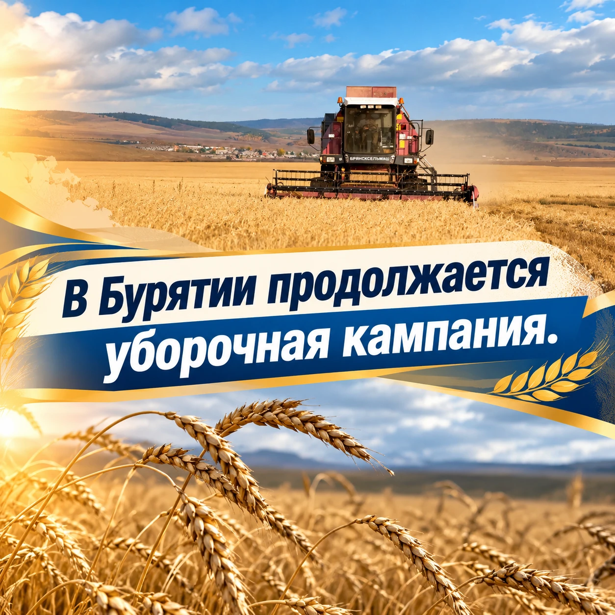 🚜 В Бурятии продолжается уборочная кампания