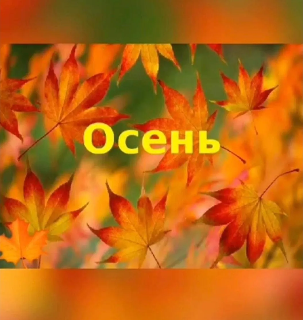 🍂 Золотая осень в гостях у наших ребят!