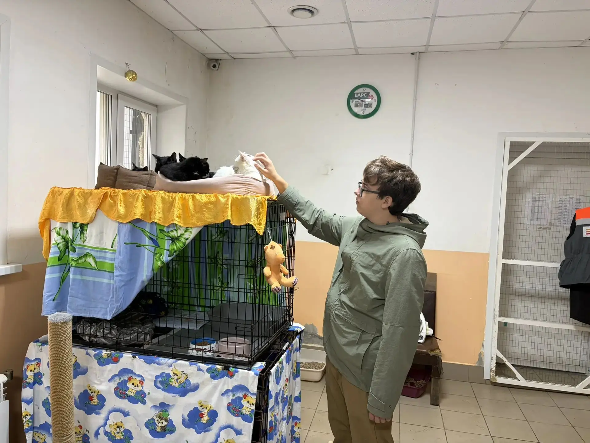 Сегодня наш старший сын со своими друзьями посещал приют для животных. Привезли корма, ...