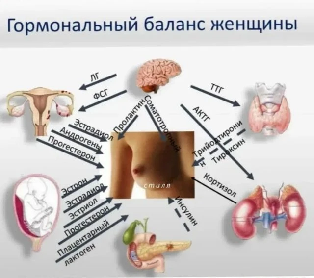 После 35 лет в женском организме начинается плавный переход к менопаузе (перименопауза)...