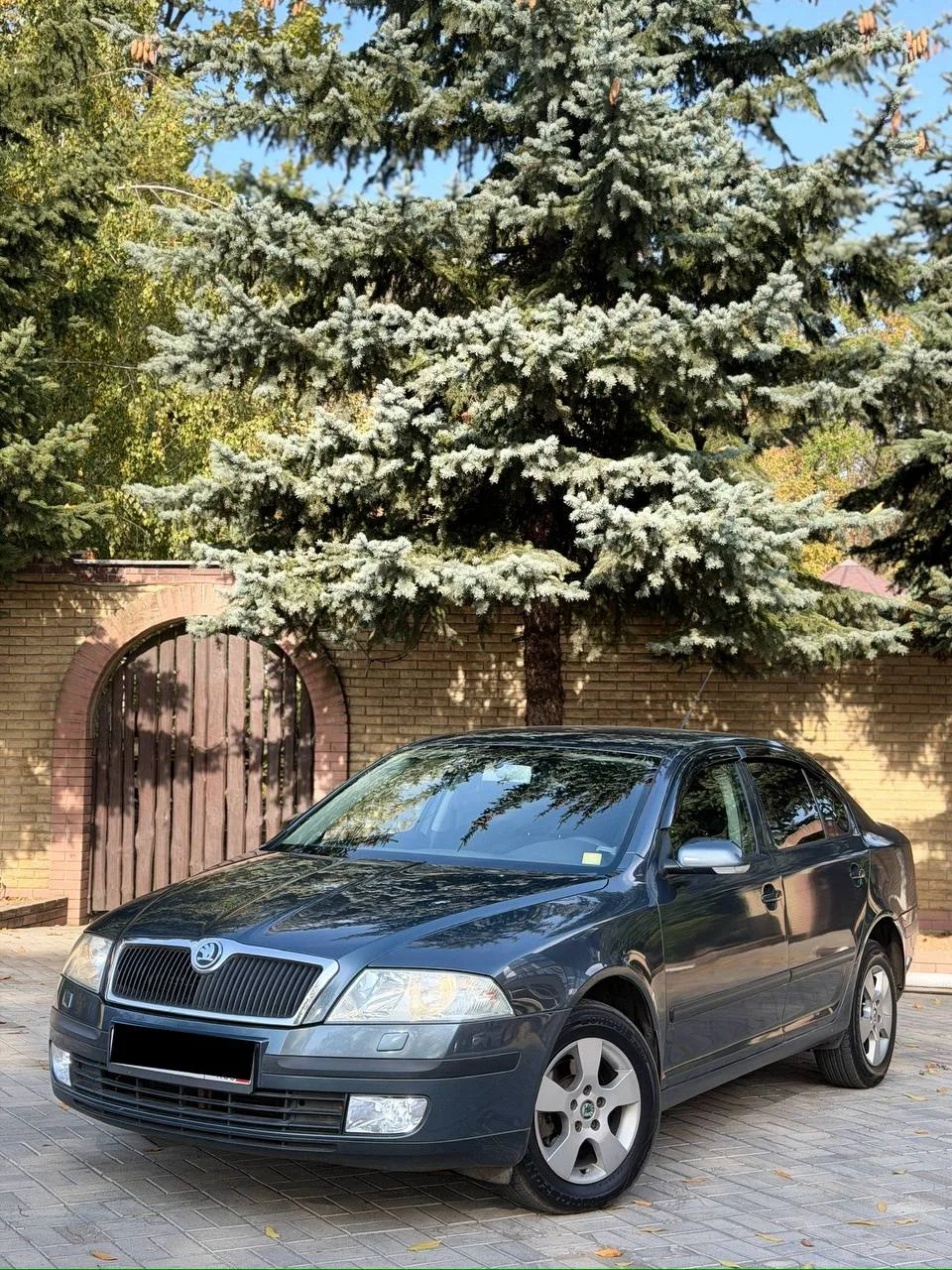 SKODA Octavia 2006 | 1.6 бензин | Механика