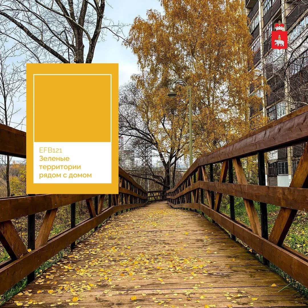 🍂 Осень в парке «Серебрянский»: время гулять и любоваться природой. Такие вот осенние ...
