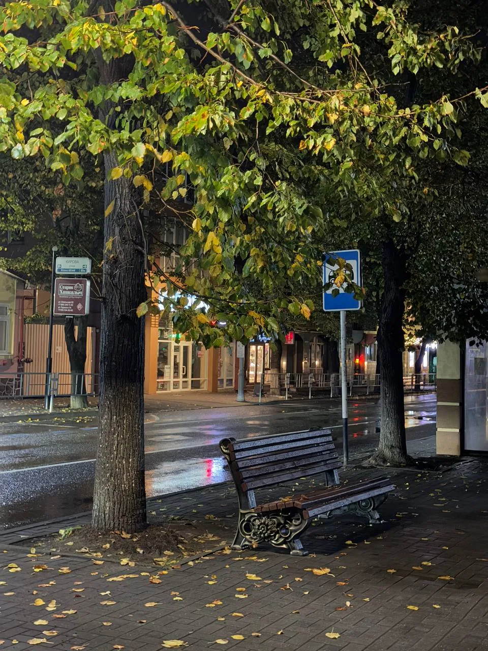 Тихие пустынные улицы после ливня🌧️