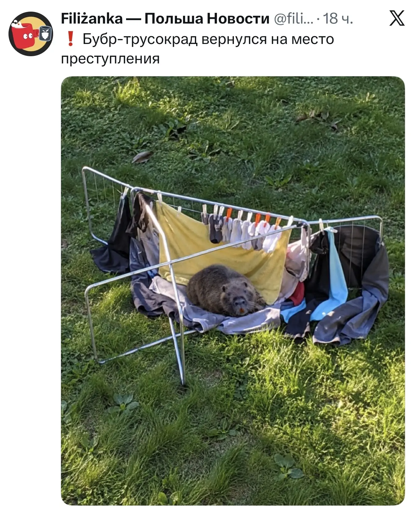 Ладно хоть у поляков все стабильно
