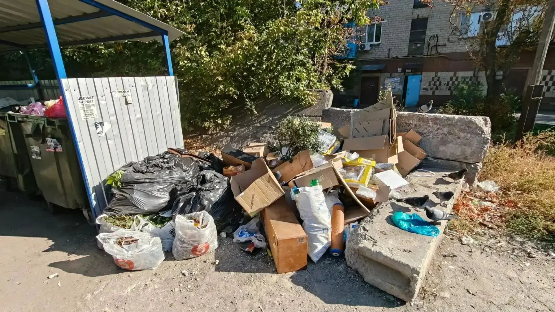 В Кировском районе Макеевки убрали территории контейнерных площадок