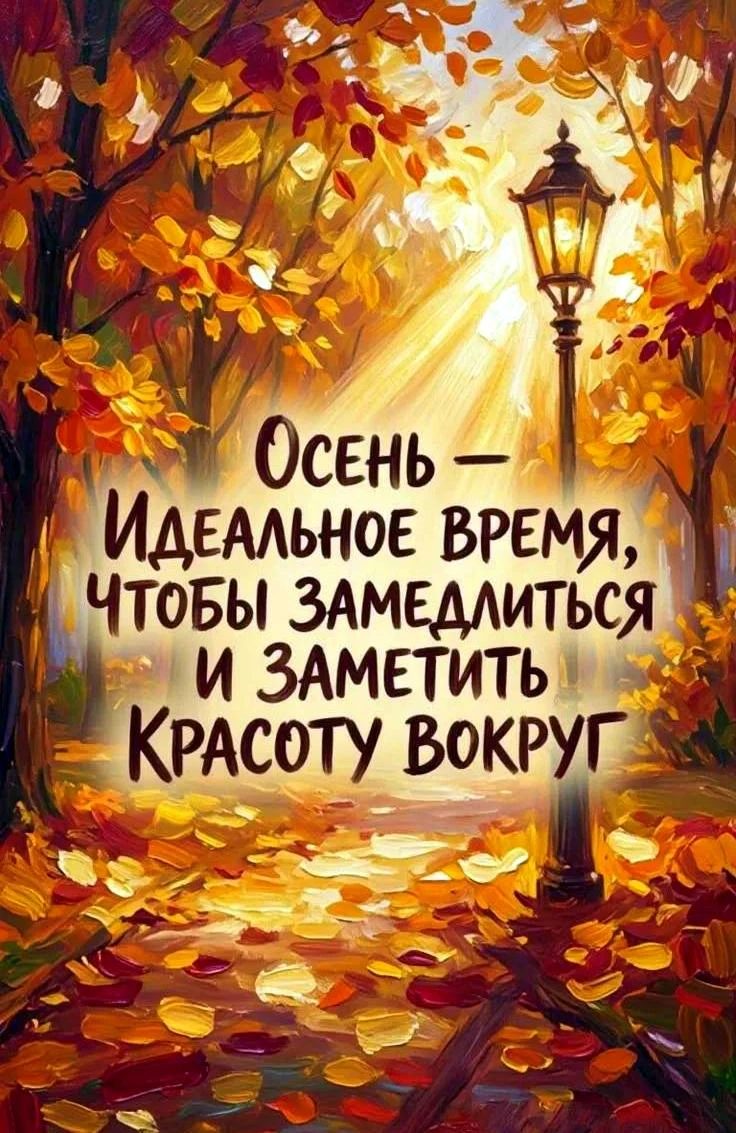 Милые открытки 😊 подписаться