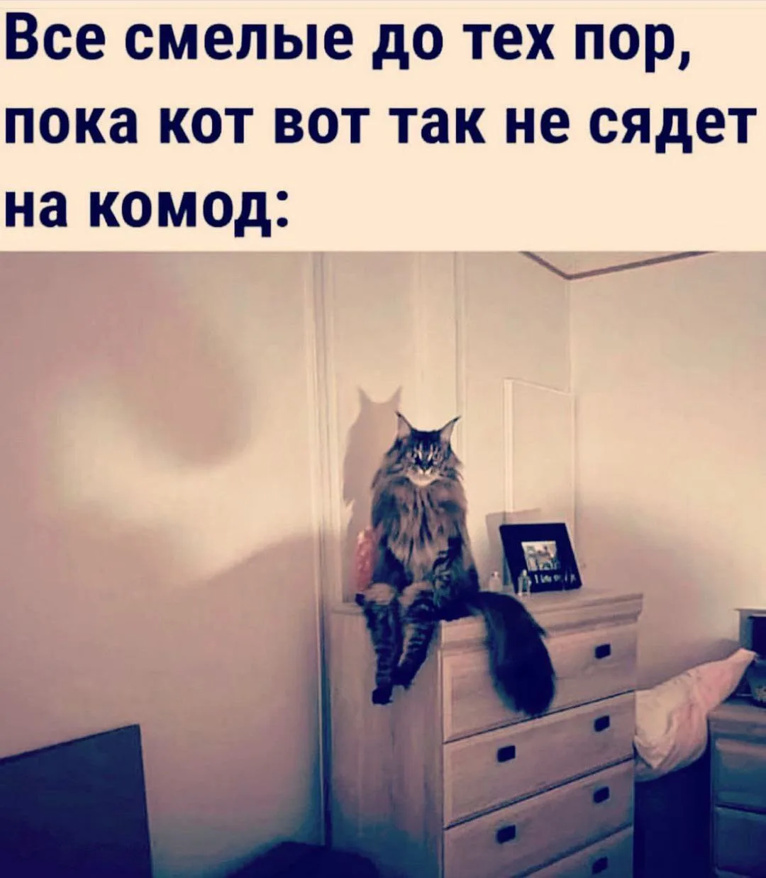«Разговор с тенью… и Алисой»