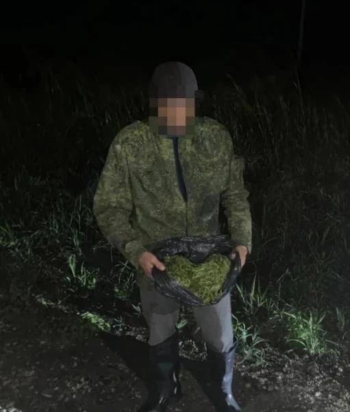 У пассажира такси в Северной Осетии изъяли более 220 граммов марихуаны