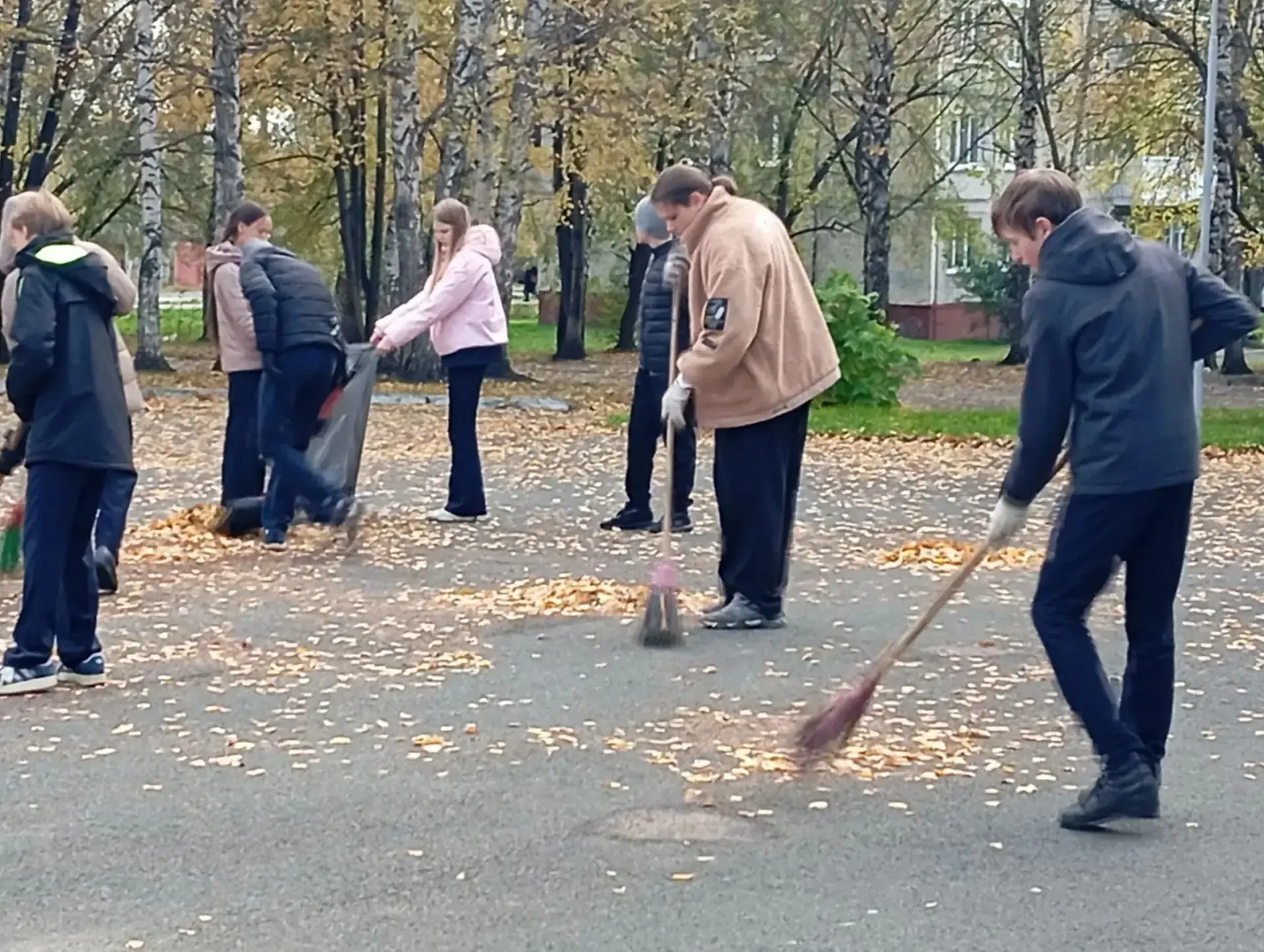 08.10.2026 территория школы превратилась в площадку для активной работы. Причиной тому ...
