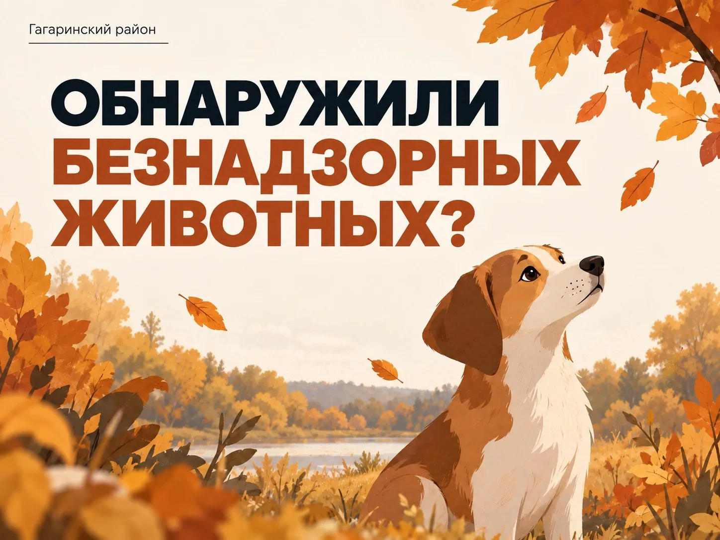 Обнаружили безнадзорных животных?