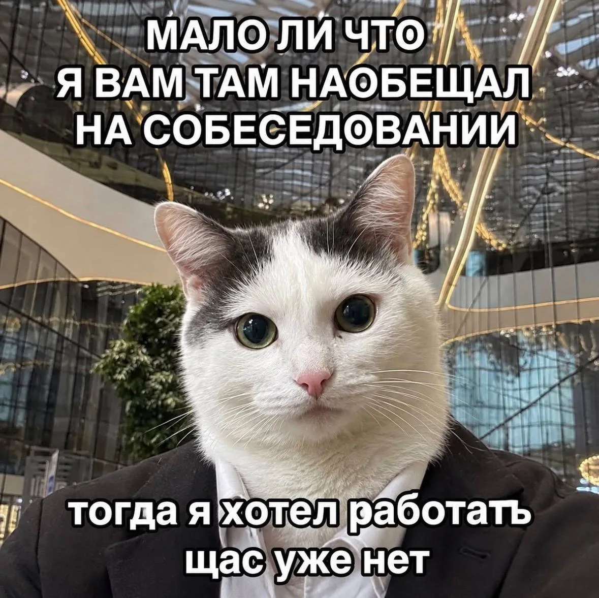 Девчата - Подписаться