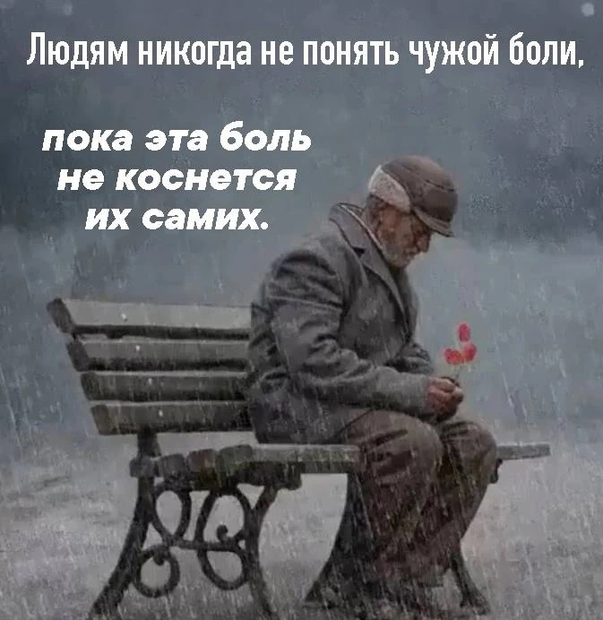 🎯 Мудрость народная ☀️