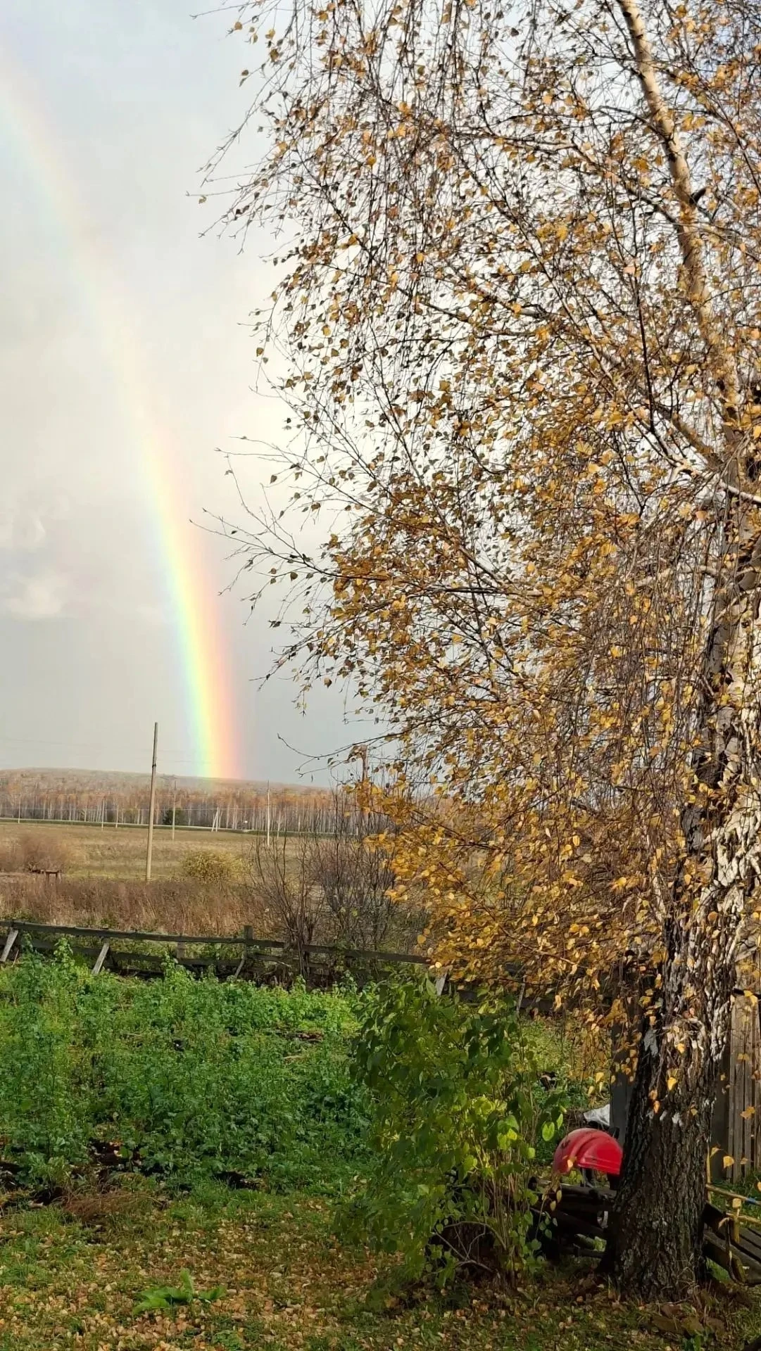 Осень в объективе камеры жительницы посёлка Урск Татьяны Казаковой 🍂