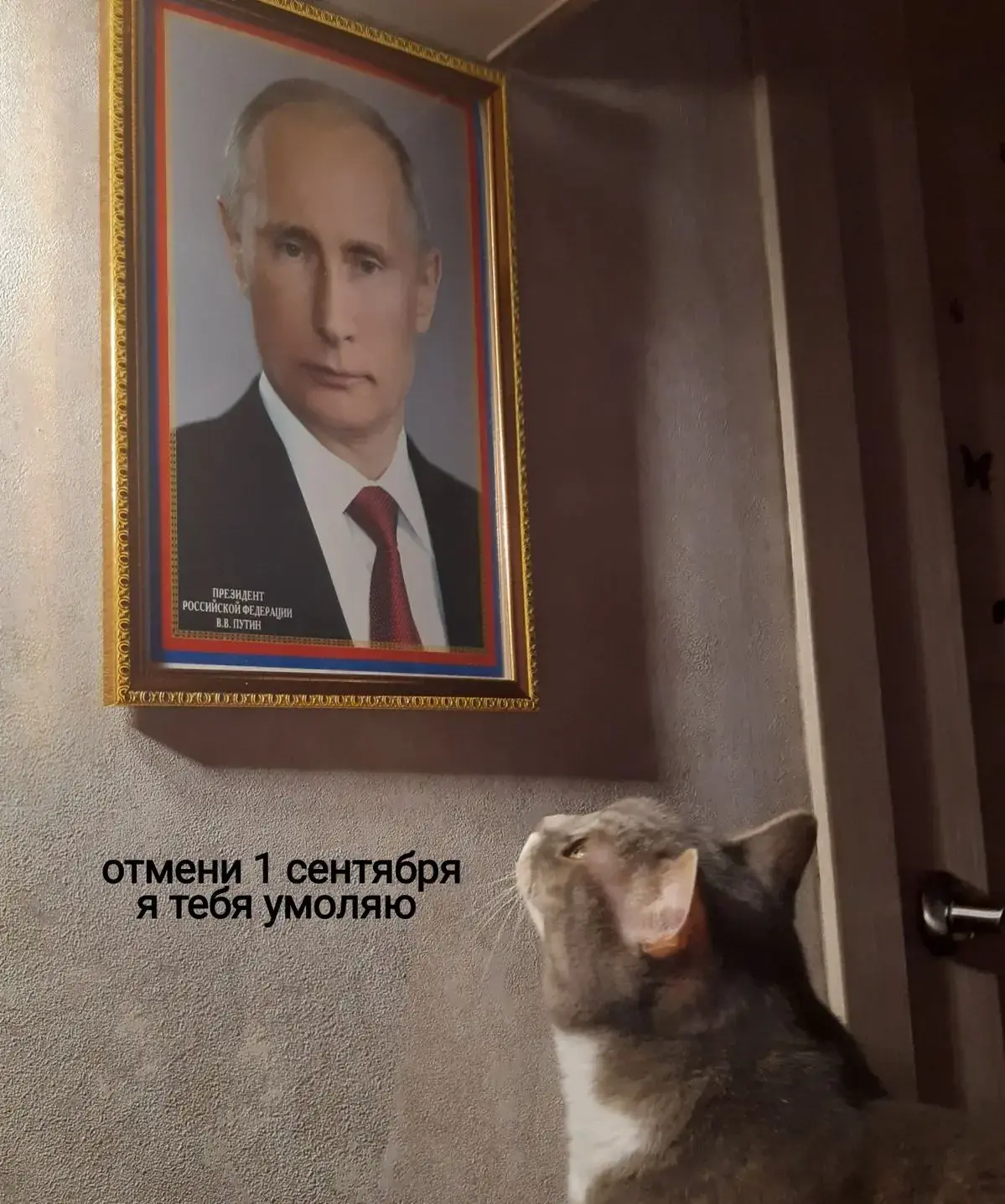 Жалко этого не случилось.